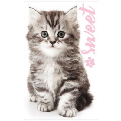 Carbotex · Ručník na ruce či na obličej s motivem Sladké koťátko - s gramáží 350 gr./m2 - 30 x 50 cm