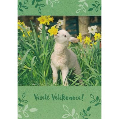 Pohlednice Veselé Velikonoce 15 – Sleviste.cz