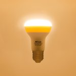 Retlux RLL 308 R63 E27 Spot 10W teplá bílá – Hledejceny.cz