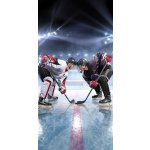 Jerry Fabrics Osuška Lední hokej 70 x 140 cm – Zboží Mobilmania