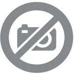 4 pošťácké příběhy – Lamková Hana, Svitalský Richard, Svitalský Slavomír, Poborák Jiří, Němeček Jaroslav – Sleviste.cz