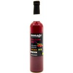 Nonage Juice 100% Brusinka Premium Bio 0,5 l – Zboží Mobilmania