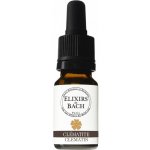Bachovy květové Bio esence Plamének plotní Clematis 10 ml – Hledejceny.cz