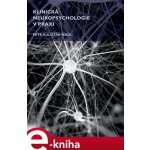 Klinická neuropsychologie v praxi - Petr Kulišťák – Zboží Dáma