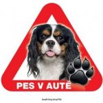Grel nálepka na sklo pozor pes v autě kavalír king černý – Zbozi.Blesk.cz