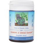 TCM Herbs Kameny z údolí Šaolin 100 tablet – Hledejceny.cz