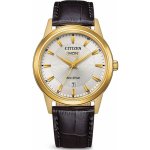 Citizen AW0102-13A – Sleviste.cz