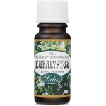 Saloos esenciální olej Eukalyptus Eucalyptus Globulus 20 ml – Zbozi.Blesk.cz