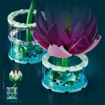 LEGO® Botanicals 11511 Lekníny – Zboží Živě