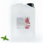 PM Aqualog esence do parních kabin mentol 854-003/D 3 l – Hledejceny.cz