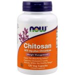 Now Foods Chitosan Plus 500 mg x 120 rostlinných kapslí – Hledejceny.cz