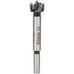 Bosch 2608597603 – Hledejceny.cz