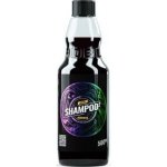 ADBL Shampoo2 500 ml – Zboží Mobilmania