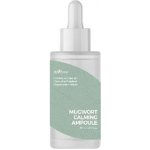 Isntree Mugwort Calming ampule 50 ml – Hledejceny.cz