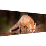 Obraz - Lišák v lese, jednodílný 145x58 cm – Hledejceny.cz