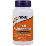 Now Foods Probiotikum 4x6 Acidophilus 120 kapslí – Hledejceny.cz