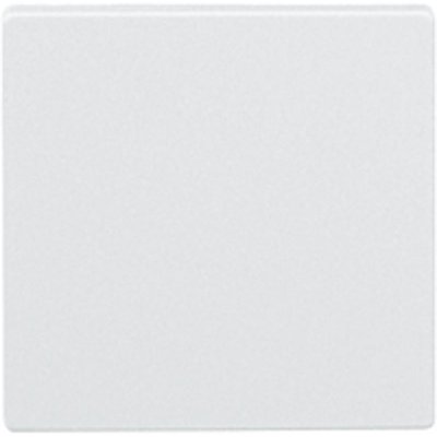 Schneider Electric MTN573719 Kryt tlačítkového stmívače, System Design, polar – Hledejceny.cz