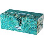 Regina Elegance papírové kapesníčky 4-vrstvé 96 ks – Zboží Dáma