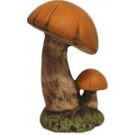 Houba křemenáč – Hledejceny.cz