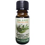 Slow Natur Eukalyptus, šalvěj éterický olej 10 ml – Hledejceny.cz