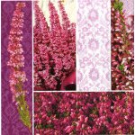 ubrousek 33 x 33 cm VŘES – Zboží Dáma