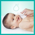 Pampers Pure Protection Coconut dětské jemné vlhčené ubrousky pro citlivou pokožku 42 ks – Zbozi.Blesk.cz