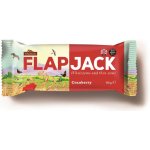 Wholebake Flapjack ovesný brusinka bezlepkový 80 g – Hledejceny.cz