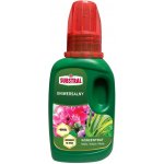 Substral tekuté hnojivo pro květiny 250 ml – Zboží Mobilmania