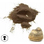 LifeChi Agarikon (Laricifomes officinalis) extrakt v prášku 50 g – Hledejceny.cz