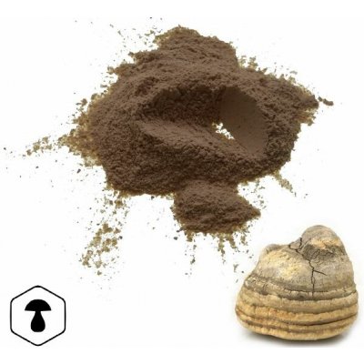 LifeChi Agarikon (Laricifomes officinalis) extrakt v prášku 50 g – Hledejceny.cz