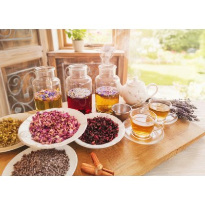 BIO Levandule Chodouňská Degustace Cold brew a BIO čajů z Levandulového údolí Dárkový poukaz: PDF elektronická verze poukazu – Hledejceny.cz