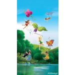 Fotozáclony Disney víly u duhy 140x245cm FCS L 7103 – Hledejceny.cz