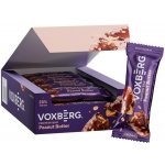 Voxberg Protein Bar 18 x 50g – Zboží Mobilmania