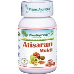 Planet Ayurveda Antisaran Mukti 60 kapslí – Hledejceny.cz