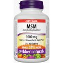 Webber Naturals MSM 1000 mg 160 tablet