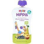 HiPP Bio iS Hruška černý rybíz švestka 100 g – Hledejceny.cz