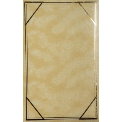 Fotoalbum 10x15 pro 300 fotek Vinyl béžové 3UP – Zboží Živě