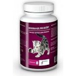 Univit ROBORAN chondro gel pro kočky 60 g – Hledejceny.cz
