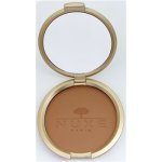 Nuxe maquillage prodigieux Bronzující pudr multi usage compact Bronzing powder 25 g – Zboží Dáma Nuxe maquillage prodigieux Bronzující pudr multi usage compact Bronzing powder 25 g – Zboží Dáma