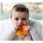 Lanco list zlatá – Zboží Dáma