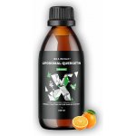 BrainMax Liquid Liposomal Quercetin pomeranč 250 ml – Hledejceny.cz