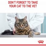 Royal Canin granule APPETITE CONTROL CARE pro dospělé kočky 2 kg – Hledejceny.cz