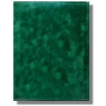 Fotoalbum samolepicí 50stran FS-50 SEMIŠOVÉ zelené – Hledejceny.cz