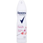 Rexona Stay Fresh Blue deospray 150 ml – Zbozi.Blesk.cz