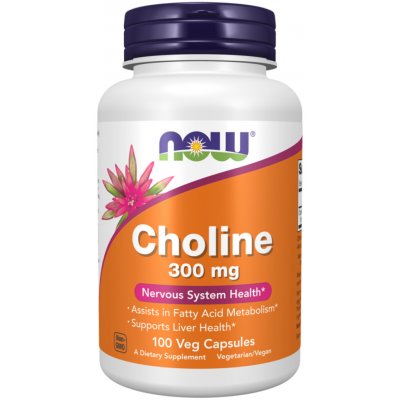 Now Foods Cholina 300 mg 100 veg kapslí – Hledejceny.cz