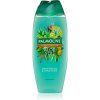 Sprchové gely Palmolive Forest Edition Aloe You sprchový gel 500 ml