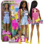 Barbie DreamHouse Adventure kempující Brooklyn – Hledejceny.cz