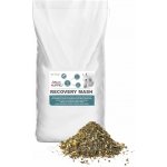 Dromy Bezobilný Recovery Mash s Alltech NuPro nukleotidy 1 kg – Hledejceny.cz