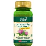 VitaHarmony Ostropestřec mariánský sily.140 mg 110 tablet – Hledejceny.cz