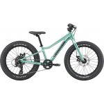 Cannondale Kids Trail Plus 2026 – Hledejceny.cz
